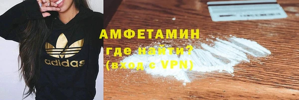 шишки Няндома