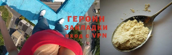 шишки Няндома