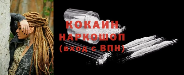 шишки Няндома