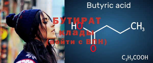 шишки Няндома