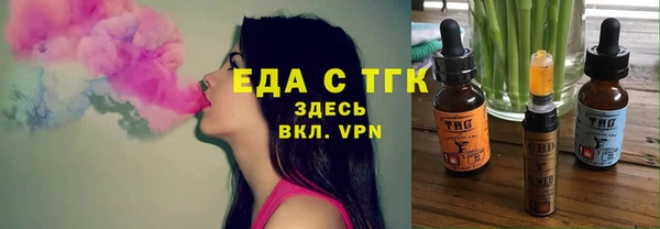шишки Няндома