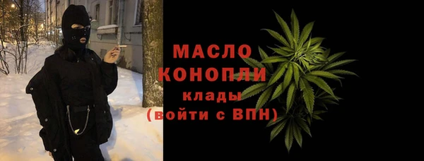шишки Няндома