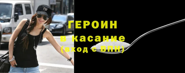 шишки Няндома