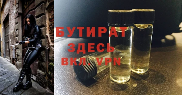 шишки Няндома