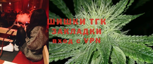 шишки Няндома