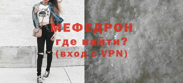 шишки Няндома