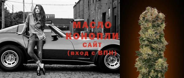 шишки Няндома