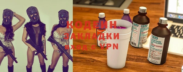 шишки Няндома