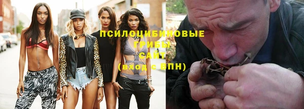 шишки Няндома