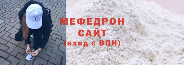 шишки Няндома